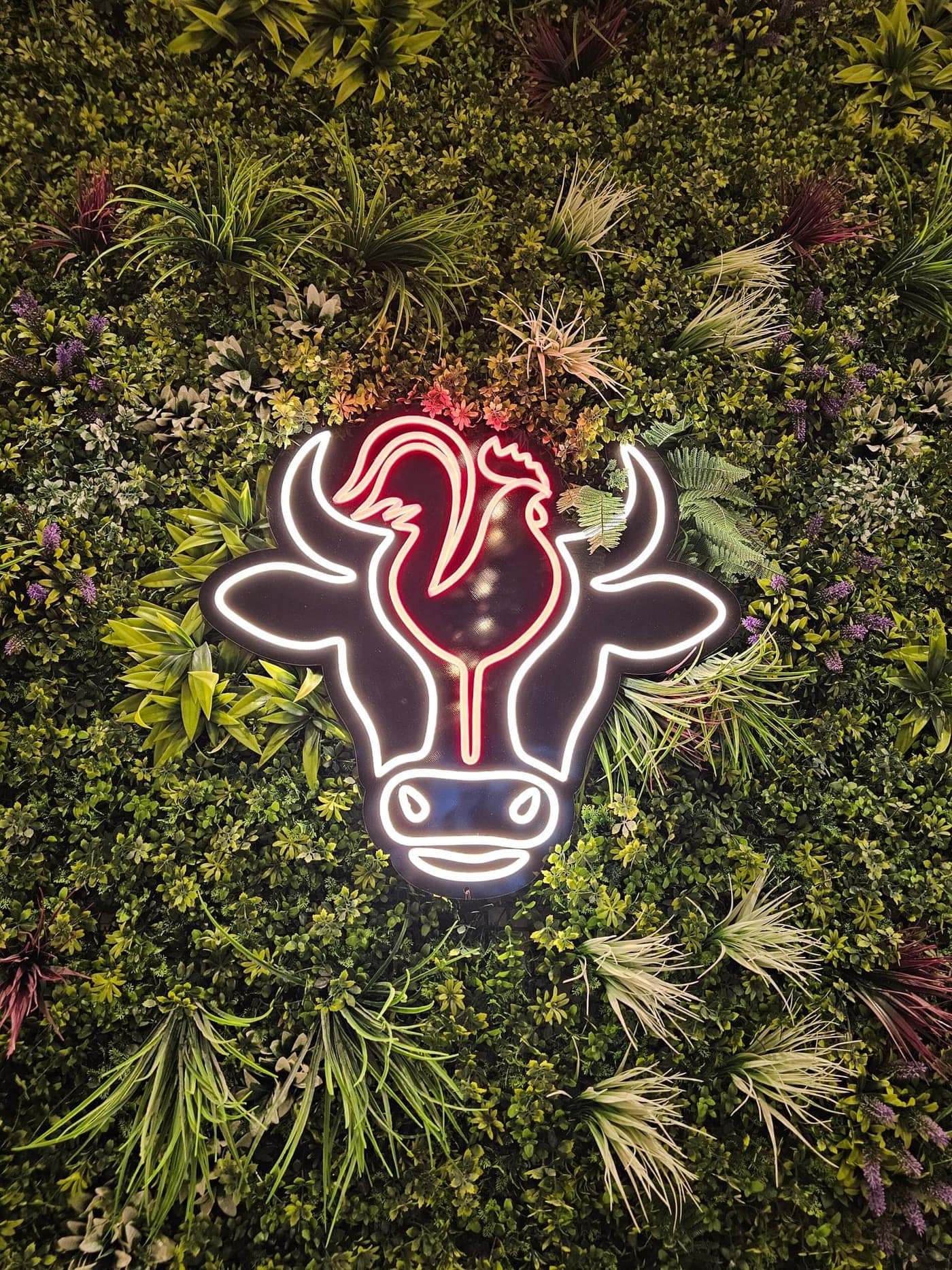 Open in Al Majarra, Sharjah — view 2